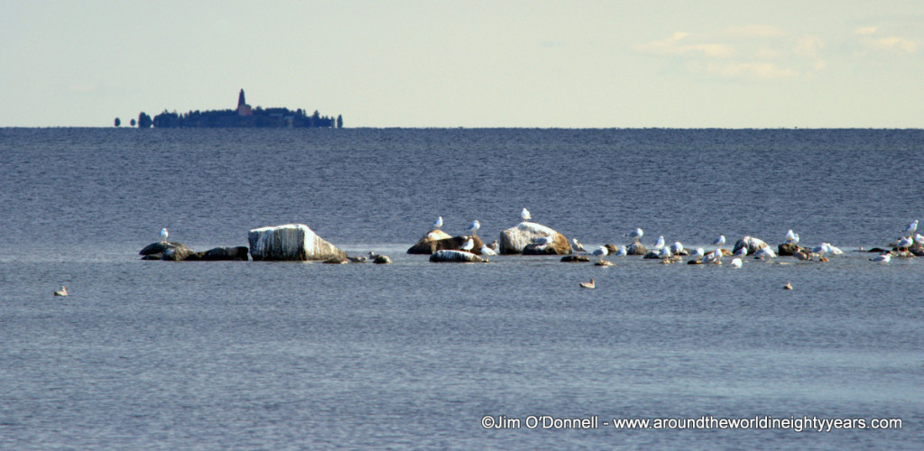 Wooden Lighthouse Birds