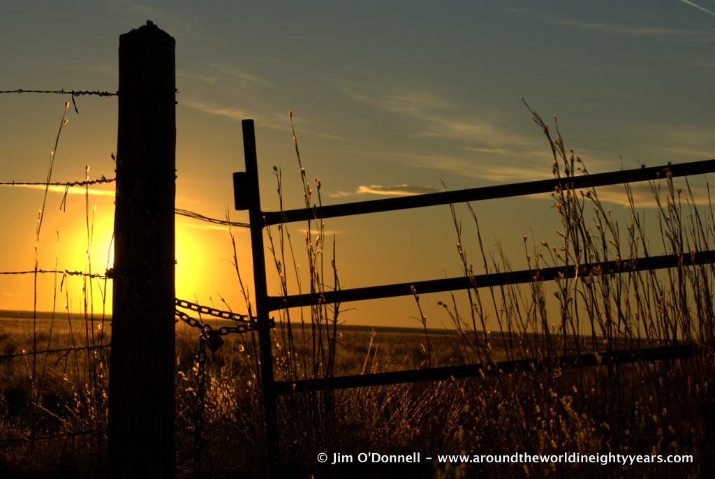 ODonnell_January_2015_Portales-041