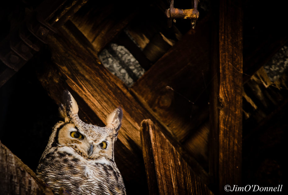 Taos New Mexico Photography Workshops 2019
