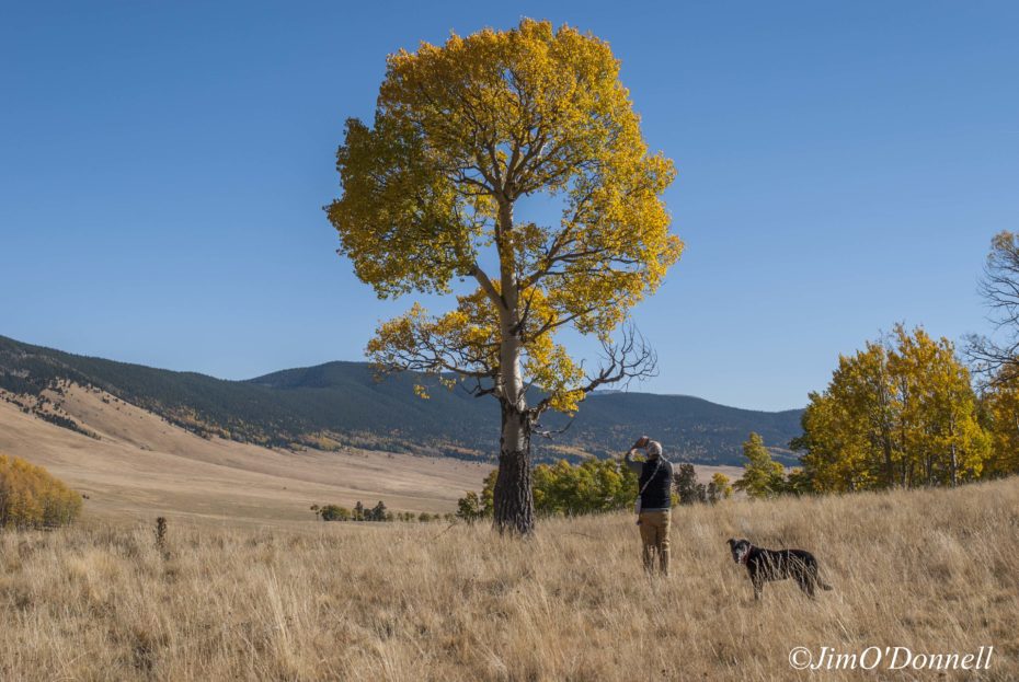 Taos New Mexico Photography Workshops 2019