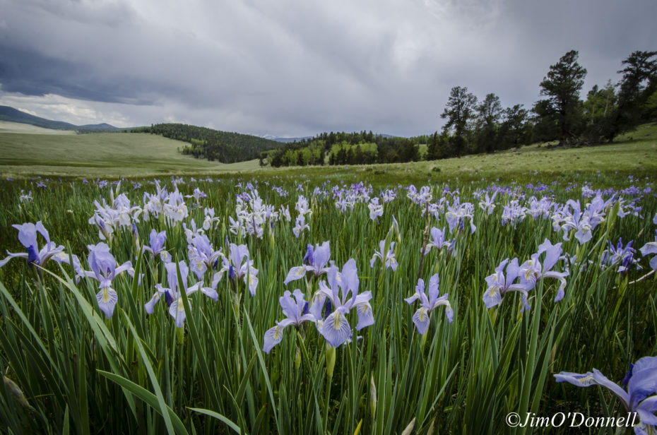Taos New Mexico Photography Workshops 2019